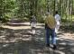 Un grand bain de forêt Résidence Eleusis Poissy