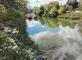 Quand on s'promène au bord de l'eau.... Résidence Eleusis Poissy